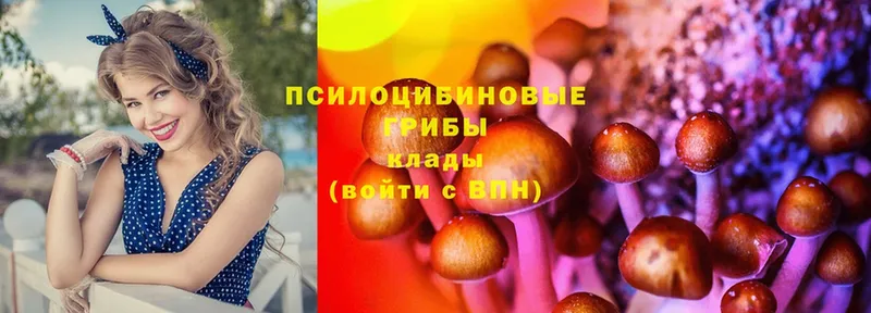 даркнет клад  Сарапул  МЕГА tor  Псилоцибиновые грибы MAGIC MUSHROOMS  купить наркоту 